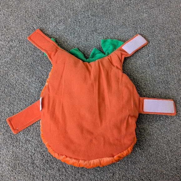 Dog Pumpkin Costume - Picture 3 of 4
